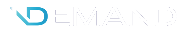 iN DEMAND Networks logo